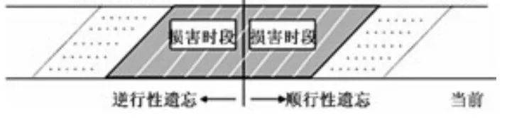 时间线段中脑损伤导致的遗忘症