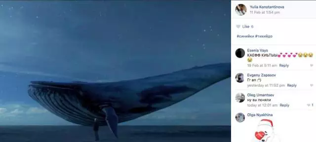 ● 2017年2月，俄罗斯一位自杀少女在最后一条动态中发了一张蓝鲸图片，很可能是后来“蓝鲸挑战”的得名原因 / 网页截图<br>