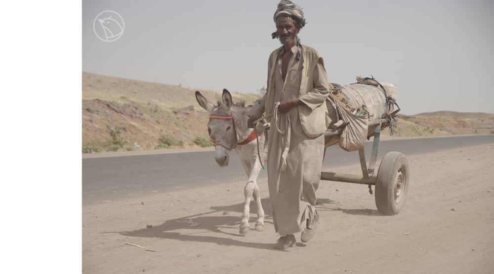 上图：肯尼亚贫民窟的孩子们；下图：用驴子运汽油的苏丹老人<br>