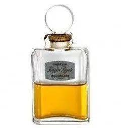 •馥奇（Fougère）这个名称来自一个早已停产的香水——皇家馥奇(Fougère Royale)。这款香水诞生于1882年，经调香师Paul Parquet创作而成，并由霍比格恩特公司（Houbigant）发行。馥奇调的传统结构由柑橘和薰衣草、玫瑰和天竺葵以及橡树苔和香豆素组成<br>