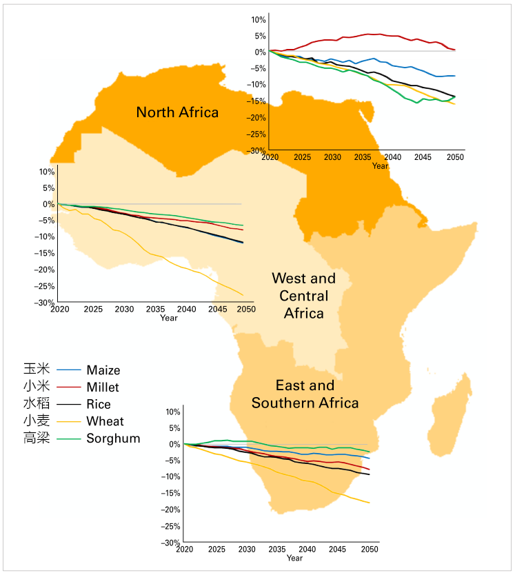 西非和中非、北非以及东非和南部非洲在RCP 8.5（RCP8.5是一个用来预测全球变化的情景，此路径模拟的是2100年全球升温5摄氏度后的场景）下，粮食产量到2050年的变化图 | 参考文献[5]