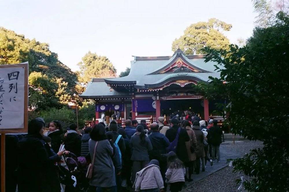 武藏野八幡宫。神谷他们2002年新年参拜的地方，16年后我到了那里，实际只有三个篮球场大小。