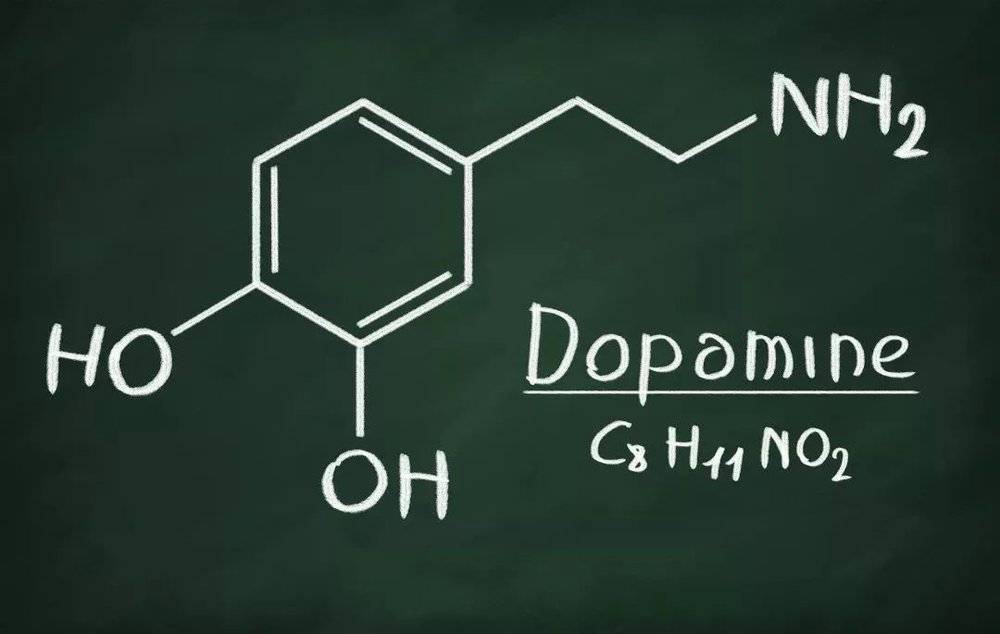 - 多巴胺分子 -