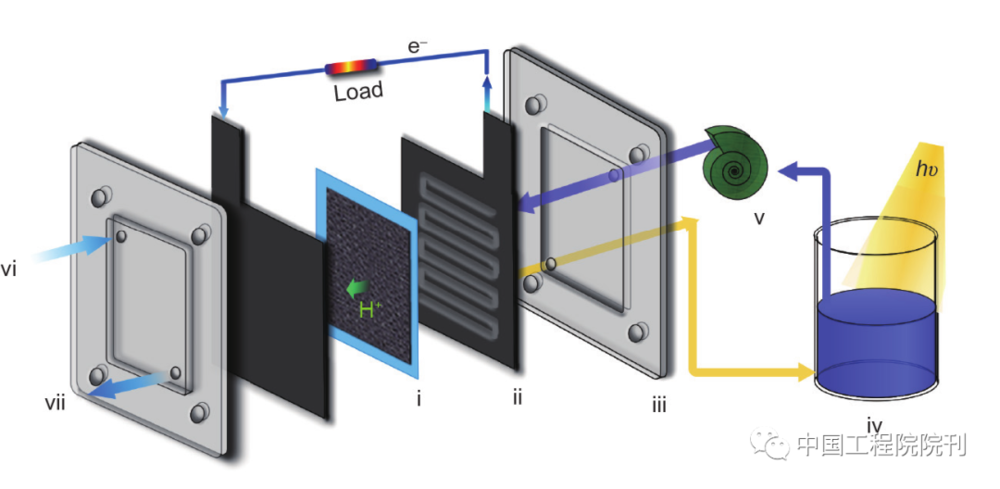 图1 太阳能诱导混合燃料电池的结构。（i）膜电极组件（MEA，Nafion 117聚合物交换膜，阳极由碳布制成，阴极装载Pt/C催化剂）；（ii）石墨双极板；（iii）丙烯酸塑料端板；（iv）透明玻璃容器，装有淀粉-H<sub label=图片备注 class=text-img-note>3</sub>PMo<sub label=图片备注 class=text-img-note>12</sub>O<sub label=图片备注 class=text-img-note>40</sub>（PMo<sub label=图片备注 class=text-img-note>12</sub>）溶液；（v）泵；（vi）氧气入口；（vii）水和氧气出口。hv代表太阳光辐射<br label=图片备注 class=text-img-note>