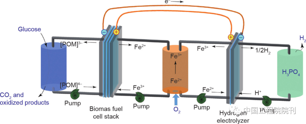 图5 生物质燃料电池集成电解制氢示意图。最左侧和最右侧的反应器分别存储葡萄糖-POM溶液和H<sub label=图片备注 class=text-img-note>3</sub>PO<sub label=图片备注 class=text-img-note>4</sub>溶液；左侧为LFFC（生物质燃料电池堆）；右侧为PEMEC（氢电解池）；中间为“共享电池”（存储Fe<sup label=图片备注 class=text-img-note>2+</sup>/Fe<sup label=图片备注 class=text-img-note>3+</sup>溶液的水箱）<br label=图片备注 class=text-img-note>