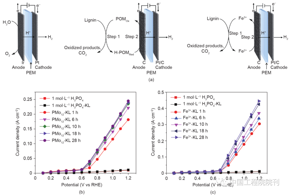 图6 （a）木质素电解制氢示意图。中间的图为POM介导的过程，右侧的图为Fe<sup label=图片备注 class=text-img-note>3+</sup>介导的过程。（b）~（c）使用Fe<sup label=图片备注 class=text-img-note>3+</sup>、PMo<sub label=图片备注 class=text-img-note>12</sub>、H<sub label=图片备注 class=text-img-note>3</sub>PO<sub label=图片备注 class=text-img-note>4</sub>作为电解质和使用硫酸盐木质素作为原料的电解极化曲线。RHE：可逆氢电极<br label=图片备注 class=text-img-note>