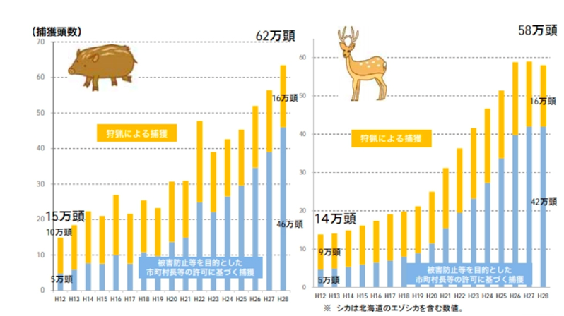 •2000～2016年，野猪和鹿的捕获数量变化。黄色为通过狩猎捕获，蓝色为通过行政许可捕获