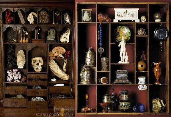 the wonderful cabinet of curiosities<br>