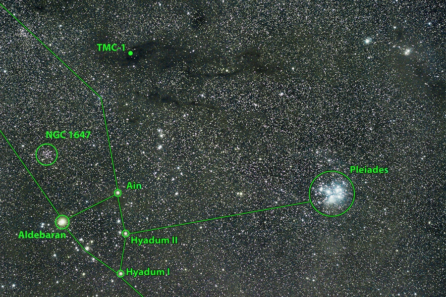  图中的黑色部分为金牛分子云（TMC-1）。| 图片来源：Brett A. McGuire<br label=图片备注 class=text-img-note>