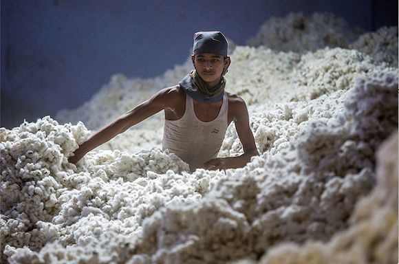 印度拉贾斯坦邦的一个轧花工厂，此处曾是全球重要棉花生产基地，而今开始回归这一地位。 图片来源：Bloomberg<br>