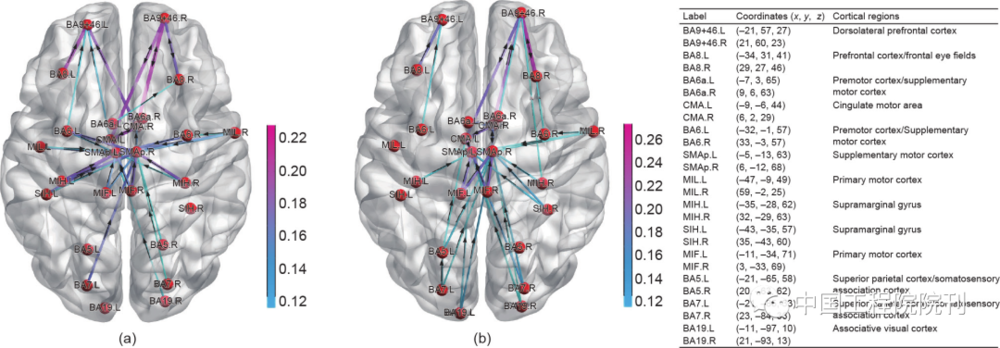 图2 20 min PVT实验中首个5 min和最后5 min期间所分别对应的警觉状态（a）和疲劳状态（b）下EEG因果性功能连接图像示例（Reproduced from Ref. with permission of Elsevier Inc.,© 2017）<br label=图片备注 class=text-img-note>