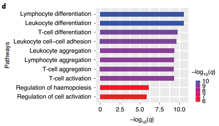 表达差异幅度较大的基因均与免疫细胞有关<br>