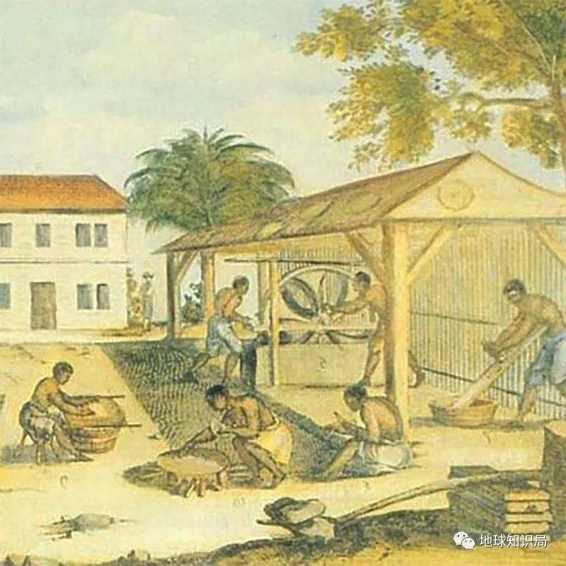17世纪弗吉尼亚州加工烟草的奴隶（图：Wiki）