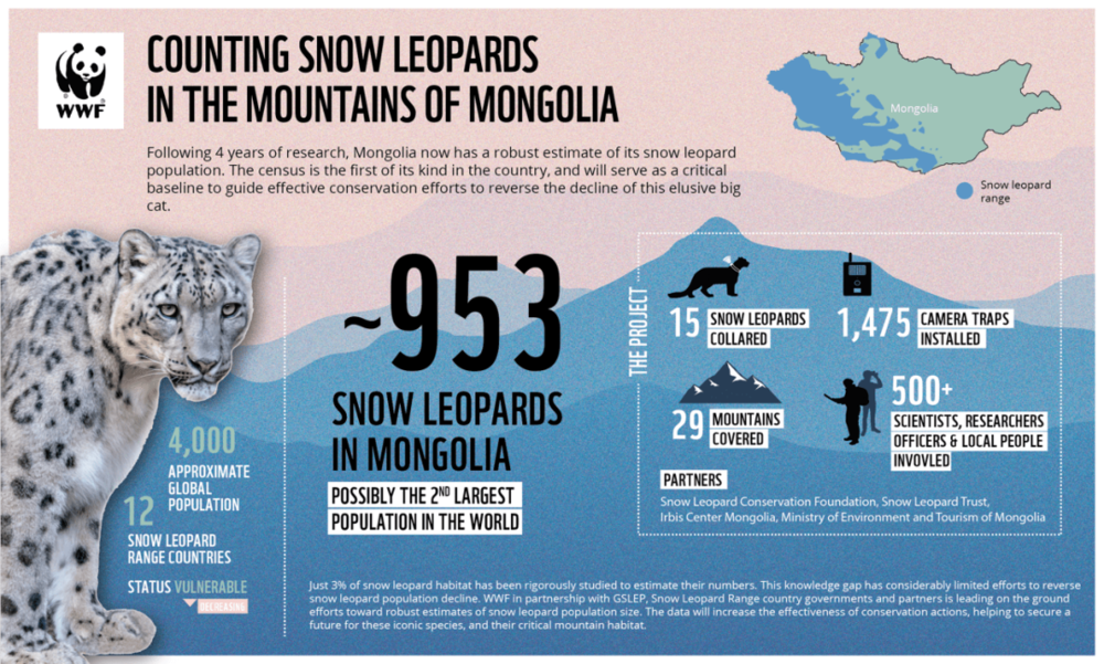蒙古的雪豹调查表明，全境有953只雪豹存在 来源：WWF<br label=图片备注 class=text-img-note>