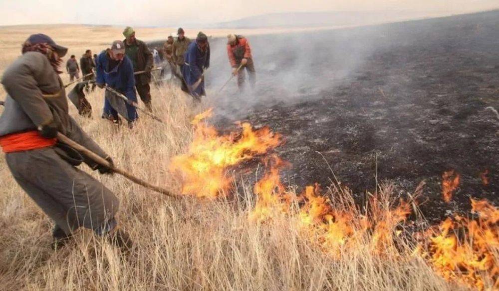 仅2020上半年，蒙古国大火就摧毁了超过20万公顷的森林与草原 -https://news.mn/en/793065/<br label=图片备注 class=text-img-note>