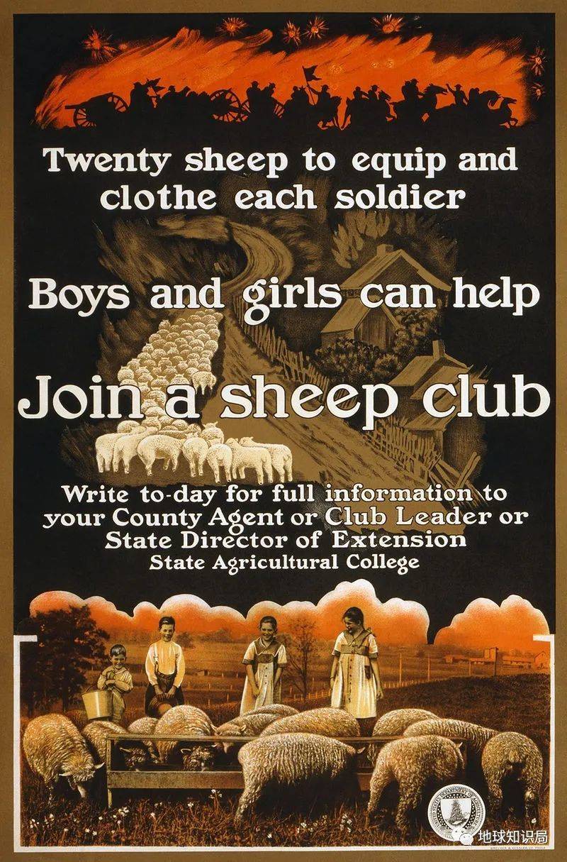 仅靠羊毛产量很难支撑日益增长的人口需求，直到一战时，美国还出海报鼓励小孩多放羊