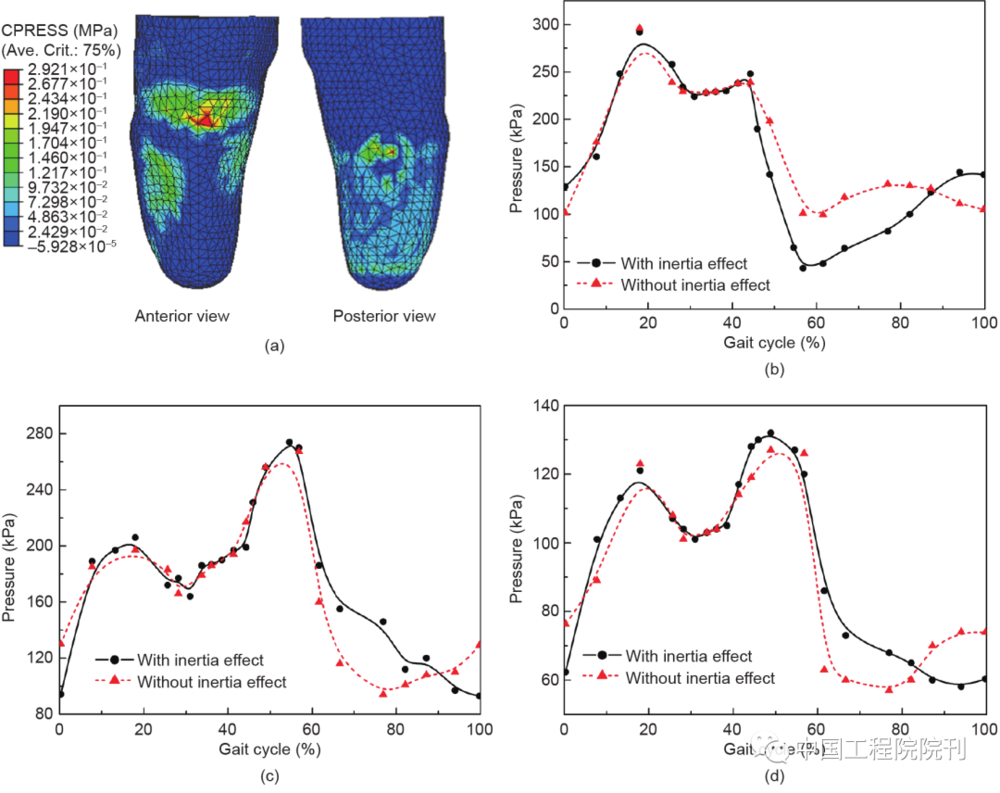 图2 残肢上的接触应力。（a）20%步态周期时的应力分布；（b）髌腱中间区域的应力峰值；（c）胫骨外侧区域的应力峰值；（d）胫骨内侧区域的应力峰值。CPRESS：接触压力。Ave. Crit. 代表对结果值相差25%以内的相邻单元进行平均