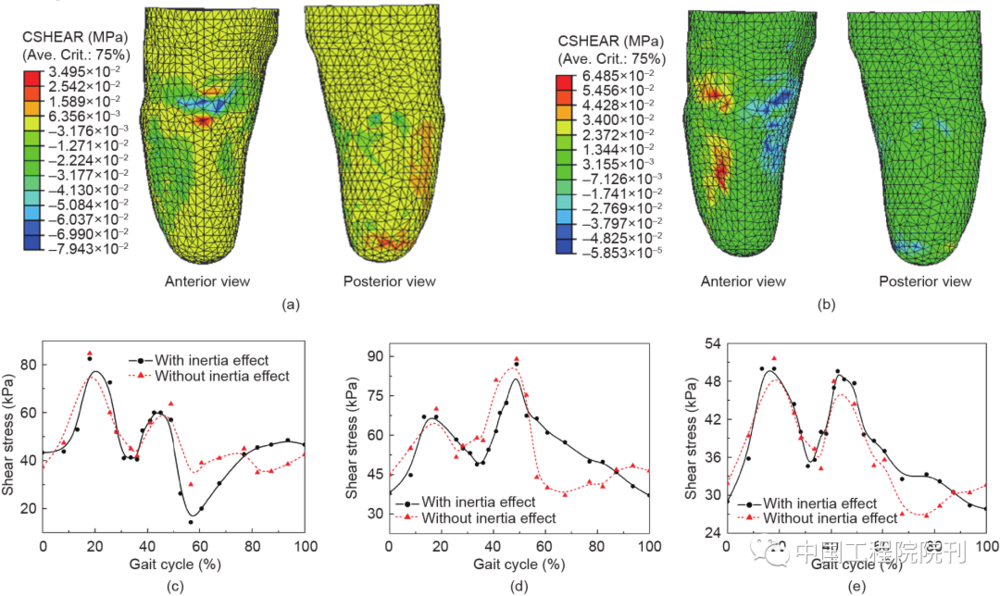 图3 残肢接触界面上的剪切应力。20%步态周期时纵向（a）和周向（b）上的剪切应力；（c）髌腱中间区域的剪切合应力；（d）胫骨外侧区域的剪切合应力；（e）胫骨内侧区域的剪切合应力。CSHEAR：摩擦切应力<br label=图片备注 class=text-img-note>