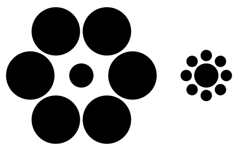 在艾宾浩斯-铁钦纳错觉中，两个位于中心的圆直径相同。在人类眼中，被更小的圆形环绕的那个圆，看上去更大。根据一项研究，这个错觉在狗狗眼中正好相反。THE SCIENTIST 