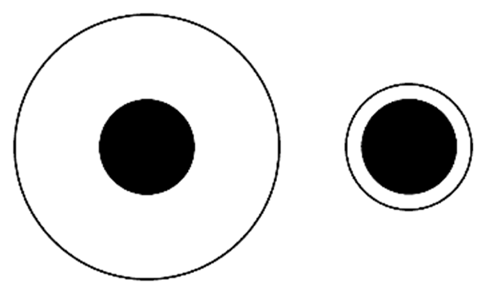 在德勃夫大小错觉（Delboeuf illusion）中，两个位于中心的圆直径相同。在人类眼中，被较小的圆环包围的那个圆，看上去更大。两个研究发现，狗狗似乎并不会感知到任何区别。THE SCIENTIST