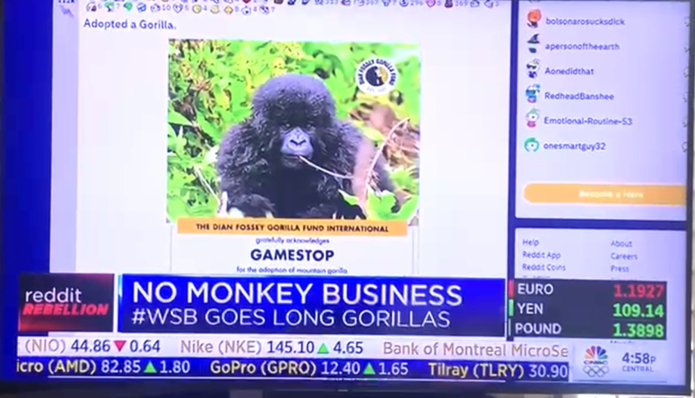  CNBC对WSB第一个猩猩领养贴的报道