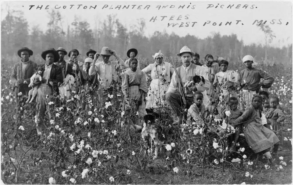 南方棉花种植园主和他的奴隶们。