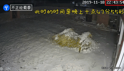 人类早期目睹黄大仙从雪地施法消失的珍贵影像 图源：不正经蜀黍<br>