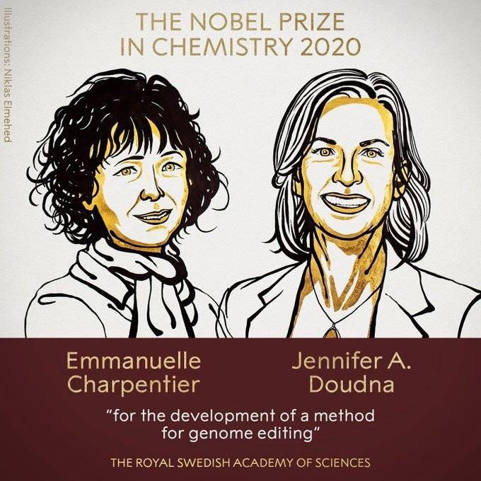 两位女科学家的获奖海报<br>