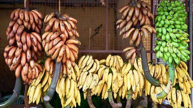△五颜六色的印度香蕉。/pixabay