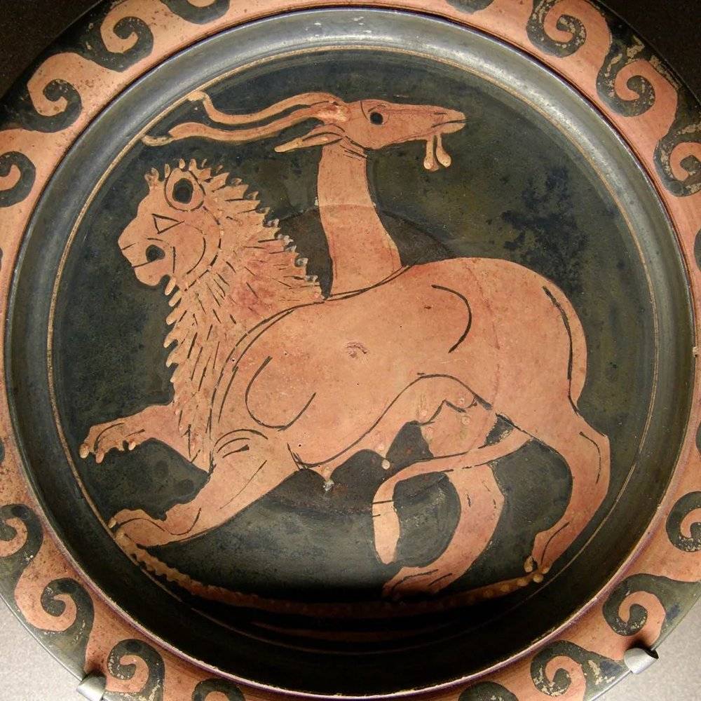 嵌合体的英文chimera来源于古希腊，是一种上半身像狮子、中阿进香山羊、下半身像毒蛇的会喷火的怪物。嵌合体胚胎，也会是怪物吗 | Lampas Group / Wikimedia Commosn