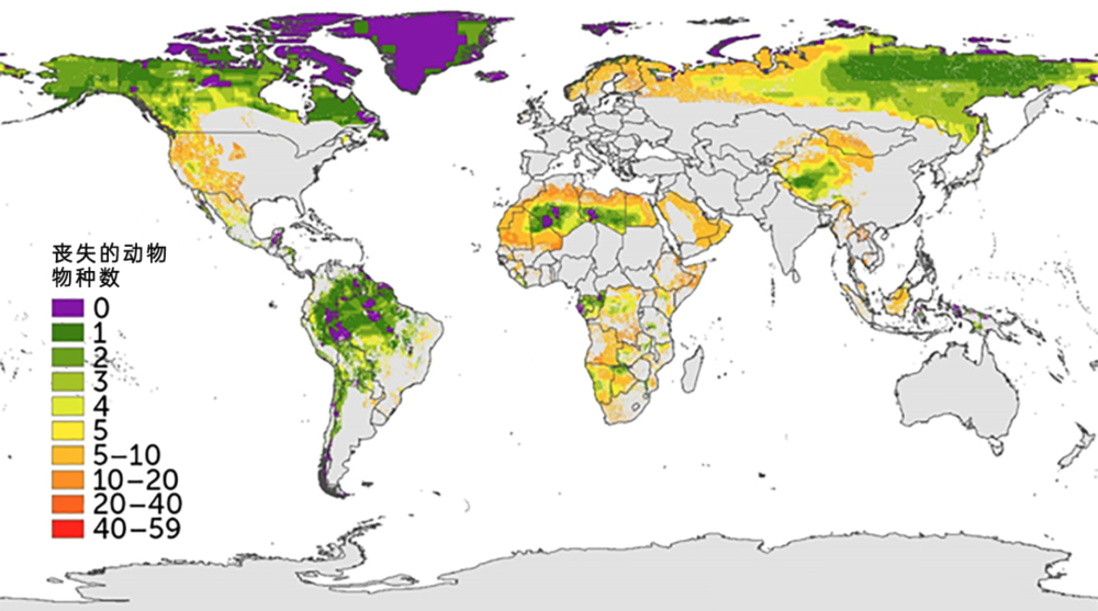 地球上大约20%~40%的陆地栖息地仍然没有明显的人类入侵，但是这样的生态系统仍然会因为人类的行为（如狩猎）而退化。根据一项对7500种动物物种的调查，自公元1500年以来，这些地区经历了不同程度的物种丧失。紫色区域代表的是不到3%的在这段时间内没有已知物种消失的地区。| 图片来源：A J Plumptre et. al. / Frontiers in Forests and Global Change<br>