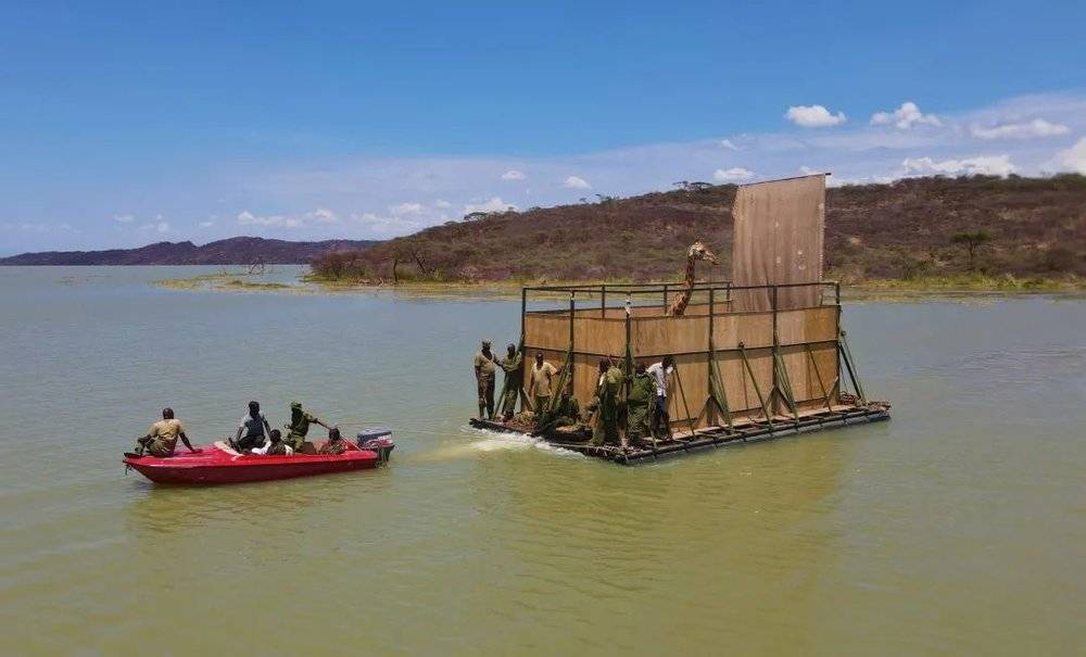 人们造了一个长方体大木筏，由船只在前头拖拽着前行 | Northern Rangelands Trust
