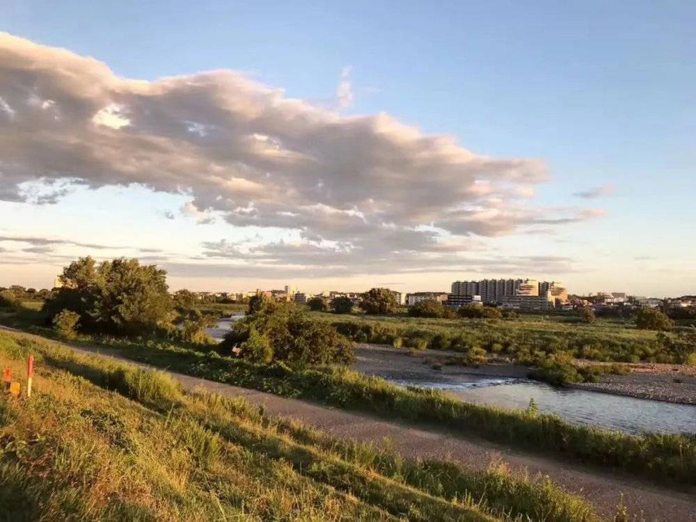 ■ 散步时会看到的风景