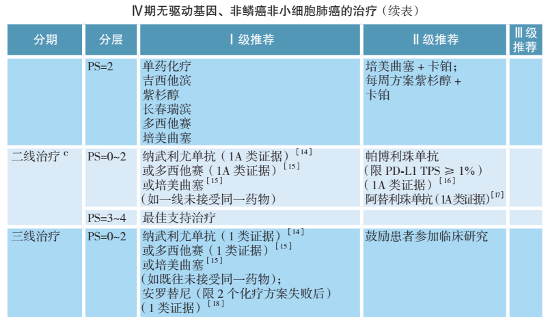 中国临床肿瘤协会（CSCO）非小细胞肺癌诊疗指南2020 IV期非鳞癌治疗指南