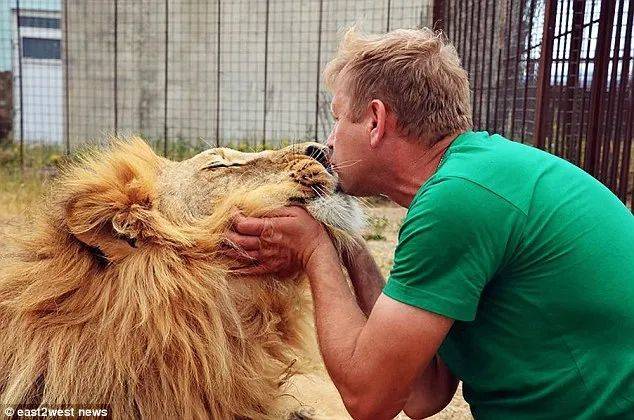 园长与狮子接吻<br>