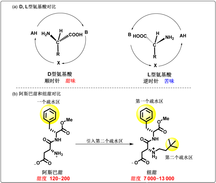图7（a）D, L型氨基酸，（b）阿斯巴甜和纽甜<br>
