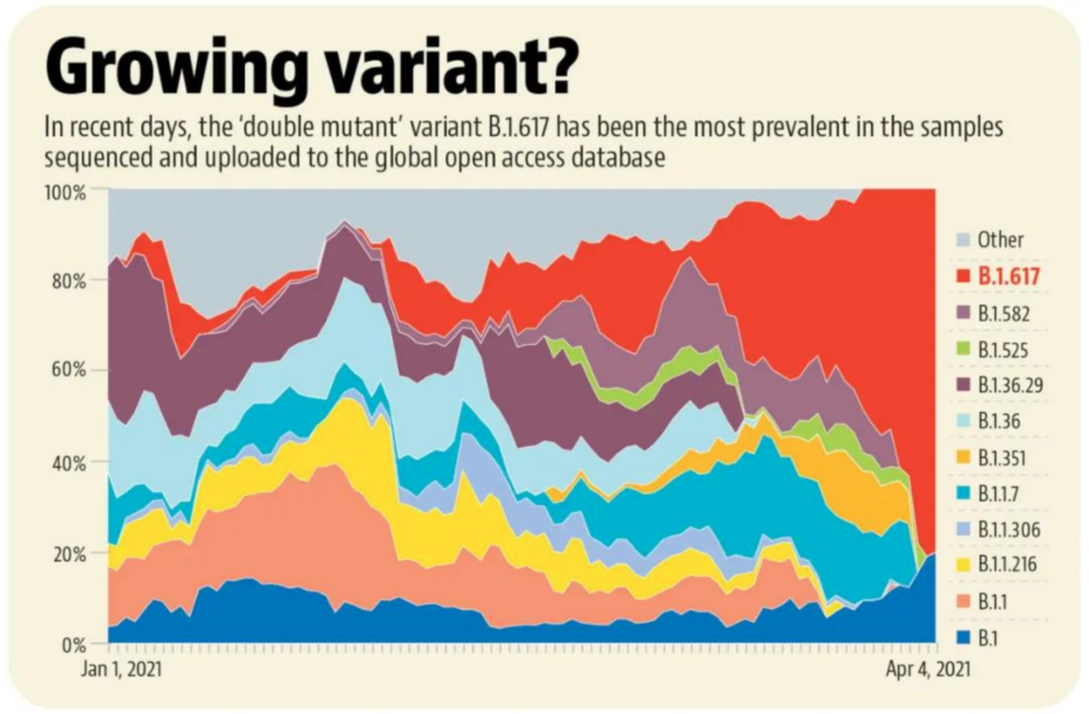 B.1.617双重突变病毒在印度样本中所占的比例一路飙升<br>