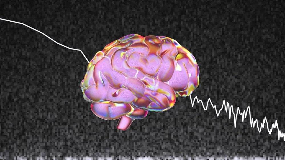 大脑活动产生不同类型的脑电波   图源：Quanta Magazine