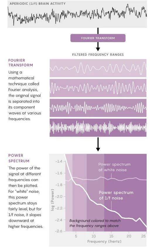 傅里叶技术将脑电图波分解为不同频率和振幅的三角函数数学模型，根据分离出的不同频率的波，绘制功率谱（横坐标：频率；纵坐标：振幅）。由于阈值范围很宽，功率谱振幅通常用对数坐标绘制