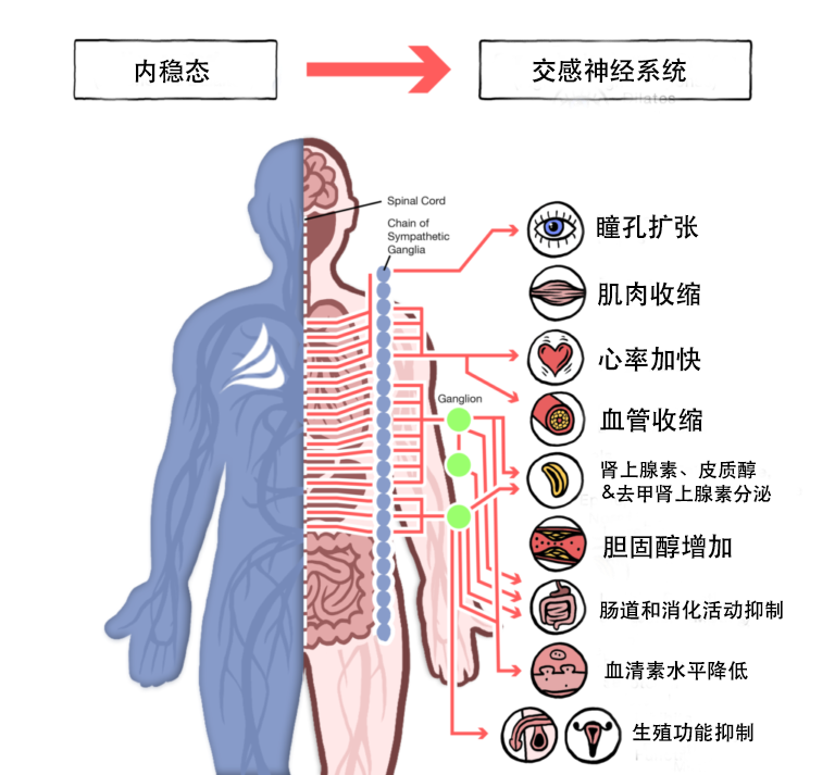 THE POTS TREATMENT CENTER<br label=图片备注 class=text-img-note>