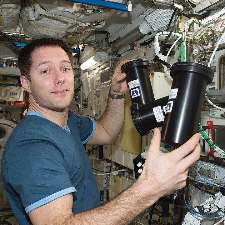 国际空间站的研究人员正从孵化器中，取出装有癌细胞的设备。这里面是癌细胞在微重力下的关键数据