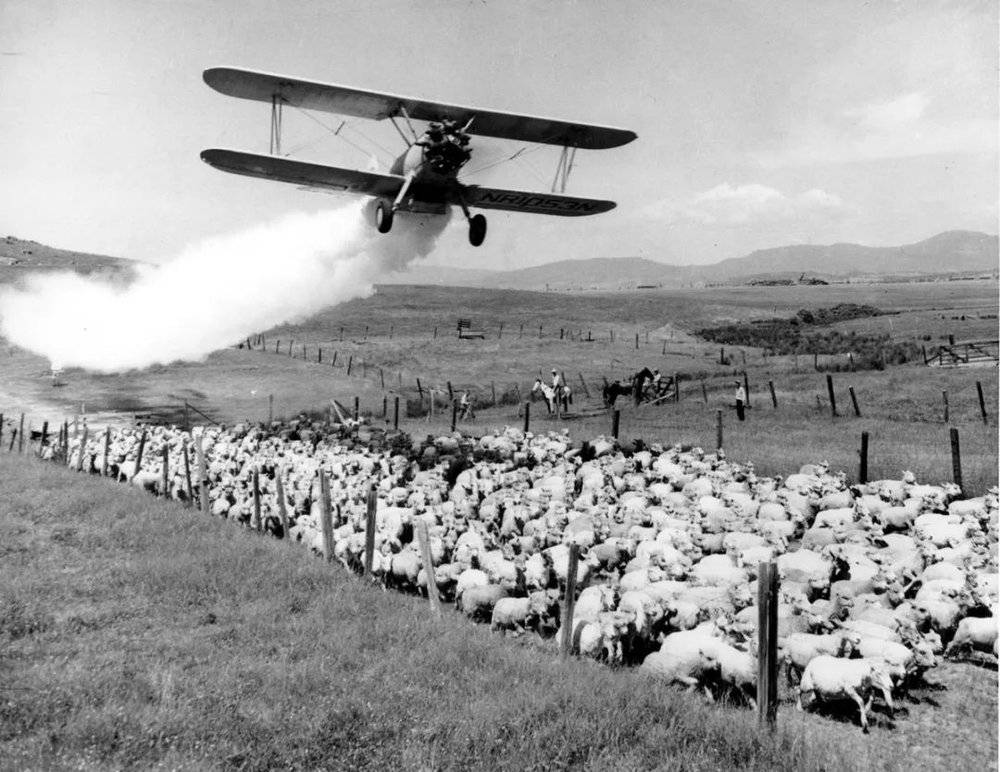 1948年，一架飞机在俄勒冈州梅德福市的一群羊身上喷洒DDT。图片来源：豆瓣<br label=图片备注 class=text-img-note>
