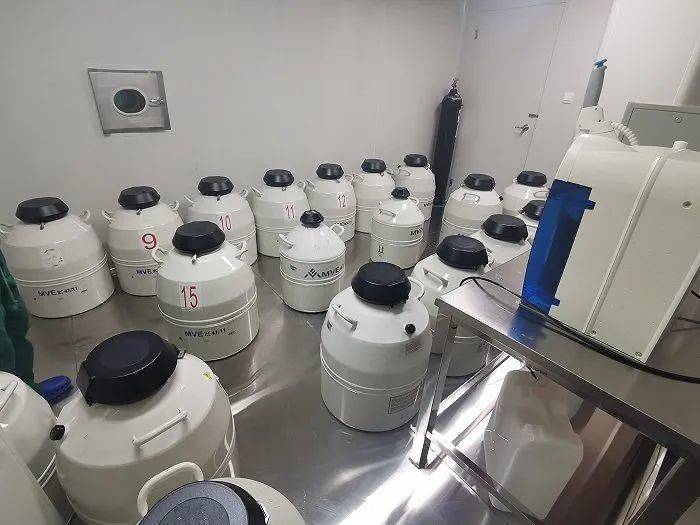 胚胎实验室中专门负责存放液氮罐的房间 