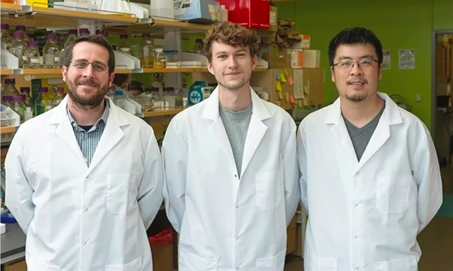 左起：分子生物科学副教授Jason S. McLellan，研究生Daniel Wrapp和研究助理Nianshuang Wang于2020年2月17日星期一在德克萨斯大学奥斯汀分校的McLellan实验室合影。