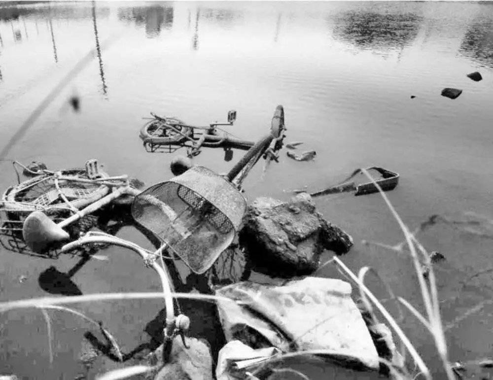 案发前，藤崎早苗丢弃手机的池塘，图源：《看护杀人》