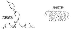 支链淀粉和直链淀粉示意图<br>