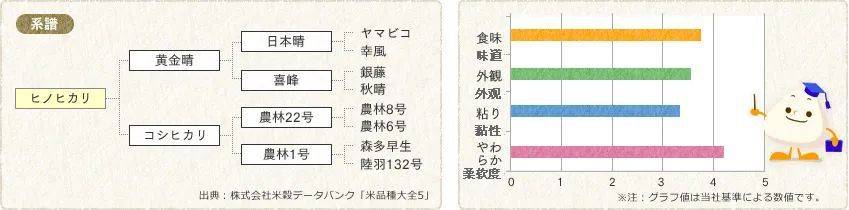 日之光的系谱和风味评级<br>