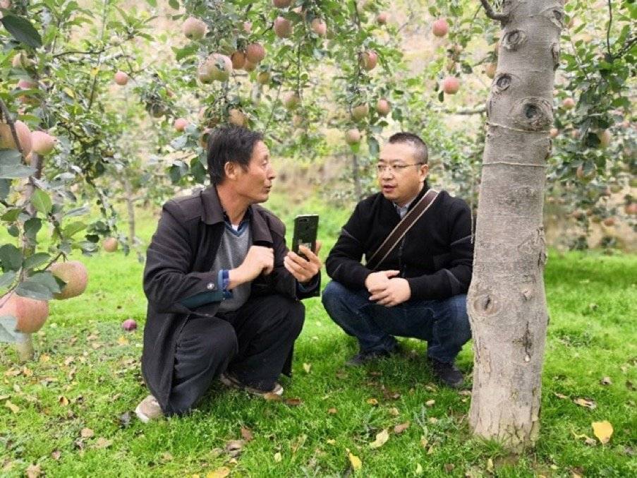 礼县脱贫特派员尹贻盼教会了59岁农民张加成学直播卖苹果，成为礼县“网红”