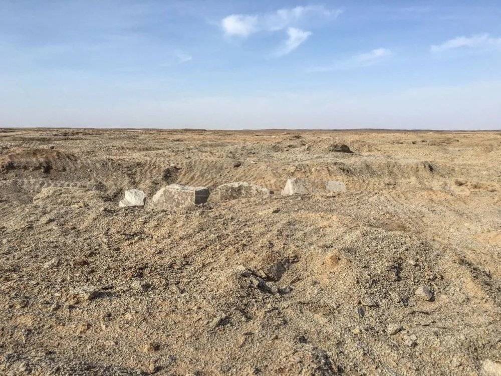 新疆卡山保护区受损区景观<br>