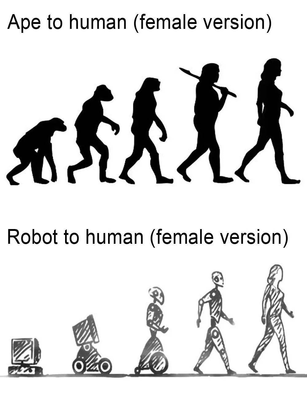 该图示展现了人类2500万年的演化史，一共包含15个人类祖先的行走侧影/Sylvie Borau